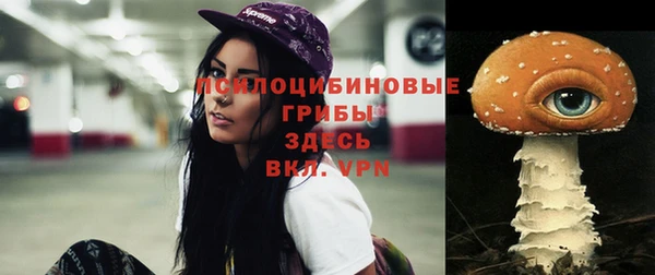 эйфоретик Абаза