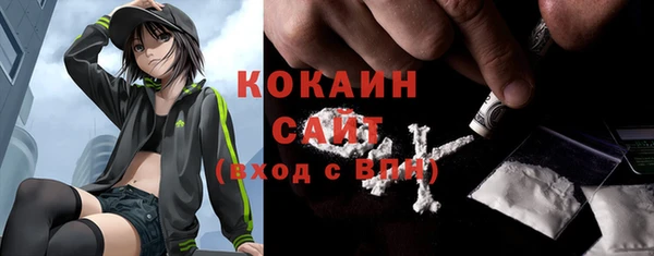 прущий лед Алзамай