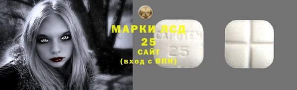 индика Абинск