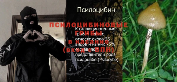 эйфоретик Абаза