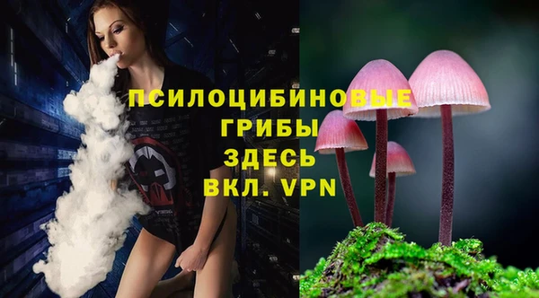 индика Абинск