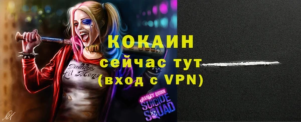 индика Абинск