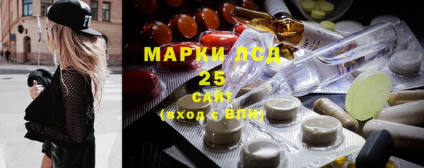 прущий лед Алзамай