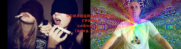 бошки Алексин