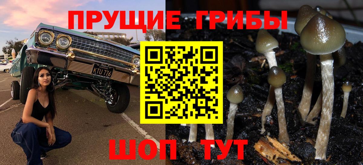 Лиски  Галлюциногенные грибы прущие грибы  Вход с VPN 